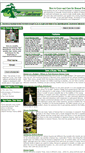 Mobile Screenshot of bonsaigardener.org