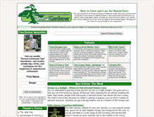 Tablet Screenshot of bonsaigardener.org